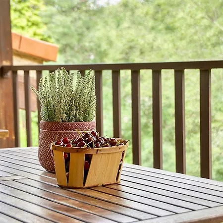 Rurales Alameda Del Jerte Апартаменты Эль-Торно